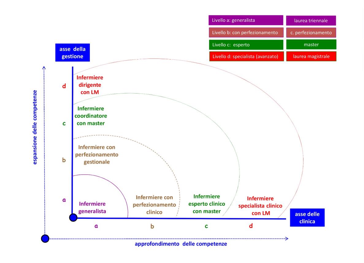 Sull'asse della clinica si posizionano, direttamente e a livelli incrementali diversi, le competenze/responsabilità agite dagli infermieri nei confronti dell utenza; l asse della gestione: che