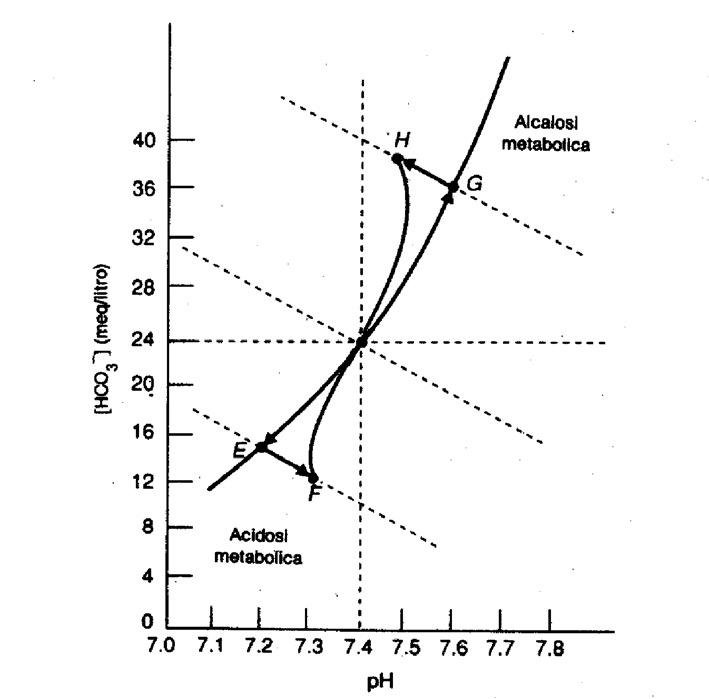 Figura 4. Alpha-Stat e ph-stat Quale sia l appropriata conduzione dell equilibrio acido-base durante la circolazione extra corporea è sempre stato argomento di discussione.
