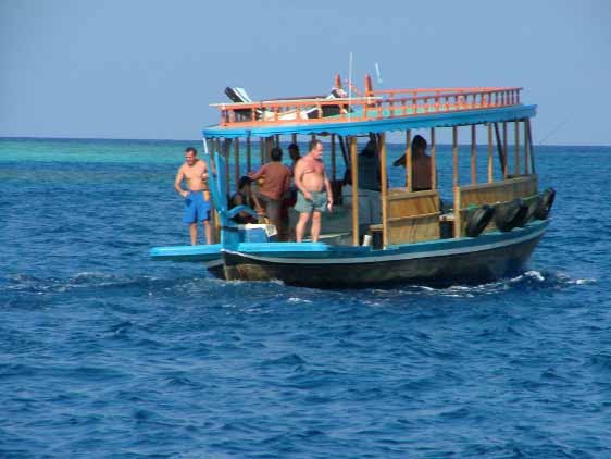 E se andassimo alle Maldive.. 11 Pesca alla traina Per la traina occorrono canne da traina da 30/50/80 libbre. Un robusto mulinello a tamburo rotante con almeno 400/500 metri di filo di nylon dello 0.