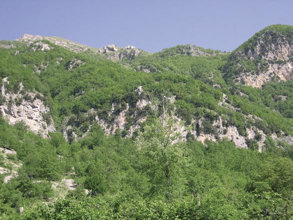 STOP 1 - Strutture tettoniche e morfologia dei versanti di Vallone Capo Scura. Dopo aver guadato il torrente Scura, ci lasciamo a sinistra la deviazione per il sentiero n. 433.