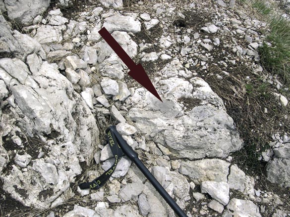 bacini sottostanti. Alcune di queste frane potevano scivolare in canyon sottomarini verso il piede delle scarpate, dove si interponevano tra gli strati di calcare pelagico (Corniola).