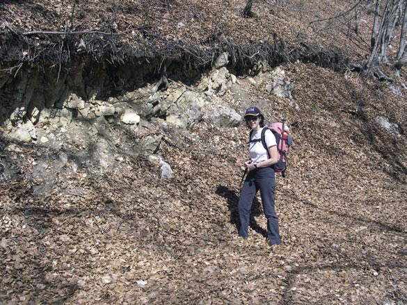 A valle del pozzetto osserviamo rocce massicce fratturate (figura 40).