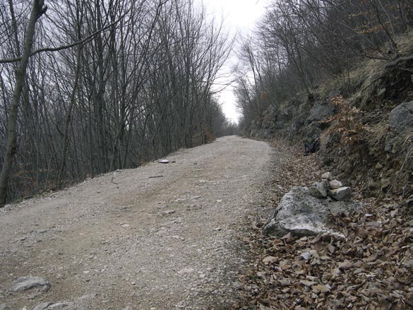 Le rocce stratificate invece, rispondono generalmente agli stress tettonici piegandosi.