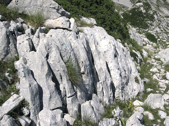 Fig. 59 - Docce carsiche. STOP G - Profilo longitudinale della valle glaciale: scala dei giganti. Come abbiamo in parte già visto in precedenza, i processi di esarazione sono molteplici.