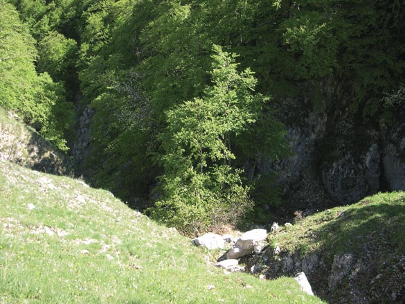 Fig. 73 - Profondi canaloni di erosione fluviale. zona compresa tra il rifugio ed i versanti Sud-occidentali di M. di Cambio.