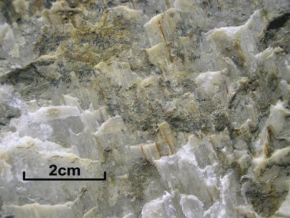 Fig. 77 - Calcite ricristallizzata nelle fratture. negli spazi vuoti lasciati dalle asperità presenti lungo le superfici di frattura che si allontanano.