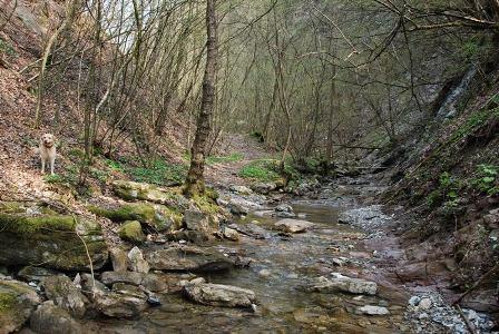 NATURA E GREEN Gli asset di attrattività turistica del DAT SIC Canto Alto e Valle del Giongo L'area SIC Canto Alto e Valle del Giongo è una riserva naturale compresa nel parco dei Colli di Bergamo ed