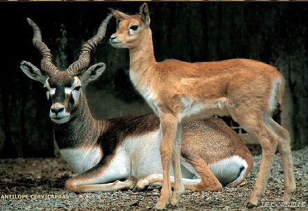 alla comprensione di tematiche più ampie che riguardano l'ambiente e la natura nel suo insieme.