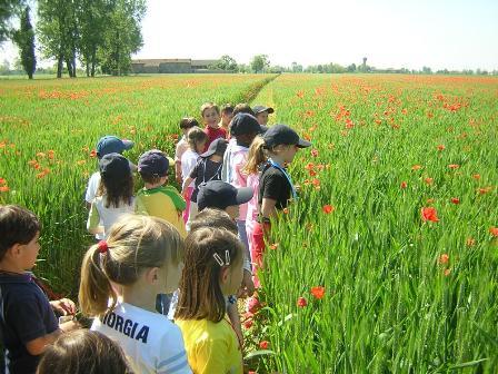 ENOGASTRONOMIA E FOOD EXPERIENCE Gli asset di attrattività turistica del DAT Agricoltura: Fattorie Didattiche (segue) Azienda agricola OL PORTEGHET di Villa d Almè L azienda, situata ai piedi del