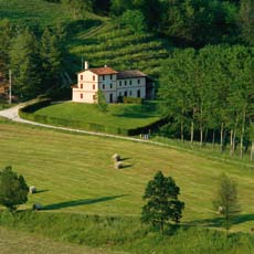 Agriturismo L A N A T U R A E LE CASE IN COLLINA Nature and the houses on the surrounding hills Vigneti e boschi, pascoli e campi.