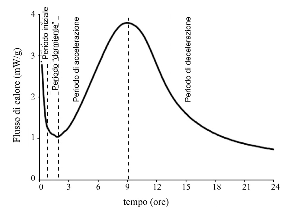 Le fasi iniziali dell idratazione sono spesso seguite monitorando il flusso di calore che si sviluppa in calorimetria isoterma al procedere dell idratazione (figura 1.1-3.