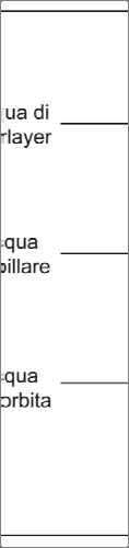 Figura 1.1-4.2: schema delle tipologie di acqua presente nelle paste di cemento (modificata da [1.2] p. 35).