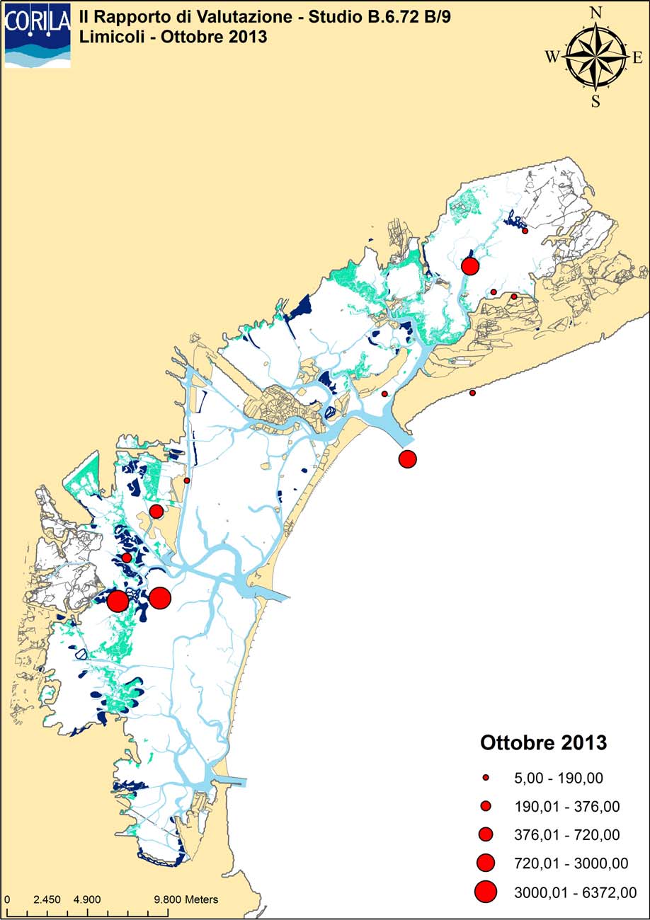 A9 - Abbondanza e distribuzione di limicoli presso i posatoi di alta marea nel mese di ottobre 2013.