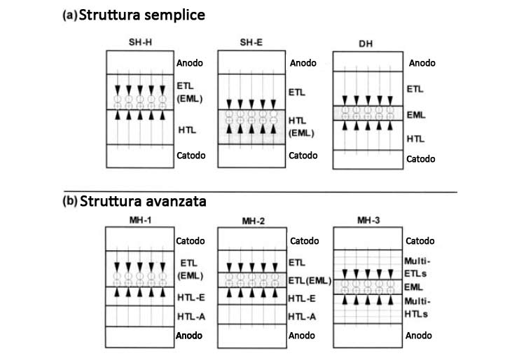 3.4. Struttura dell OLED Capitolo 3. Il meccanismo di funzionamento Figura 3.