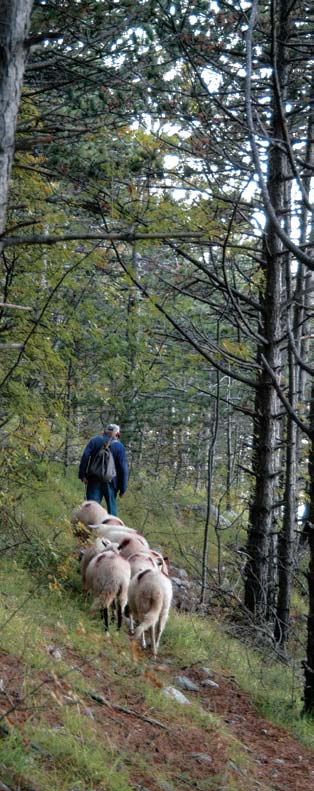 Po putu za Ninom Muškardinom Auf dem Weg Nino Muškardin folgend Seguendo Nino Muškardin 32 Parzelle aus reich end Nahrung und Wasser vorhanden war.