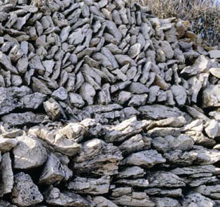 Dvoredna gromača, Valun Trockenmauer in zwei Reihen, Valun Muro a secco a due file, Valona obavješta vali bi kada bi primijetili ovce u tuđoj par celi ili na putu.