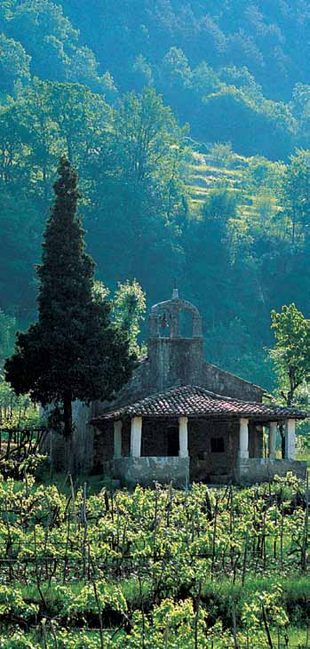 Portichetto istriano Una singolarità dell architettura popolare istriana, che risale proprio all epoca barocca, è il portichetto aperto da tre lati e sostenuto da colonne di alcune chiesette.