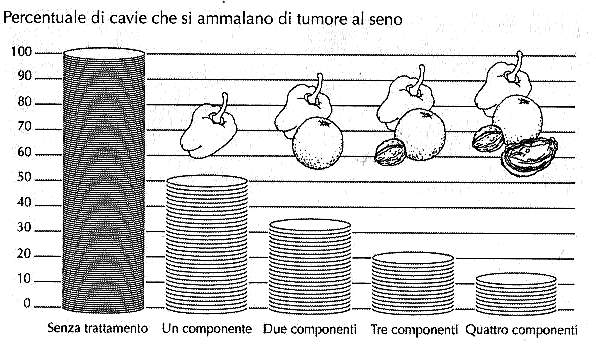 Apoptosi Una cellula sana, quando si avvede di un potenziale malfunzionamento, avvia un processo che porta al suo disfacimento: è proprio il meccanismo che manca ai tumori!