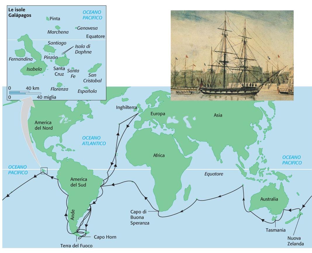 Il viaggio con il Beagle Nel suo viaggio intorno al mondo Darwin gettò