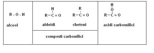Il gruppo carbossilico come R-COOH mentre il gruppo carbonilico può esistere in due forme la forma aldeide R-CO-H la forma chetone R-CO-R Prendiamo ora in considerazione singolarmente le
