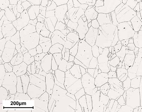 Semilavorato forgiato e solubilizzato Acciaio inossidabile austenitico tipo X2CrNiMoN17-13-3 (simile all AISI 316LN) Reagente: Acido ossalico (elettrolitico) Note: Grani