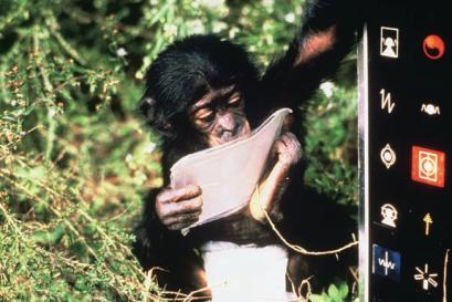 1983: 57) Va aggiunto che le conclusioni di Terrace furono ferocemente criticate da alcuni studiosi, in particolare dai coniugi Gardner, secondo i quali: Nim era uno scimpanzè disturbato (a causa dei