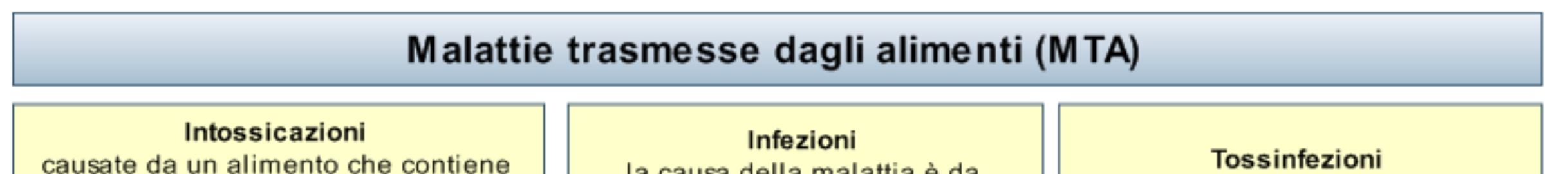 1. Le malattie trasmesse con gli alimenti, cosa sono e perché occuparsene Le malattie trasmesse attraverso gli alimenti (MTA) sono un problema di sanità pubblica.