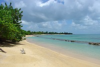 Anse à L'Eau Le Moule Bellissima baia protetta dalla barriera, sabbia bianca, molto bello anche l'itinirario per raggiungerla, una strada sterrata bianca che attraversa la campagna.