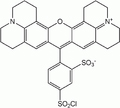 38 mostra come avviene la coniugazione della FITC, mentre la Fig. 39 mostra la coniugazione del Rosso Texas (chiamato anche TR dalla terminologia inglese Texas Red).