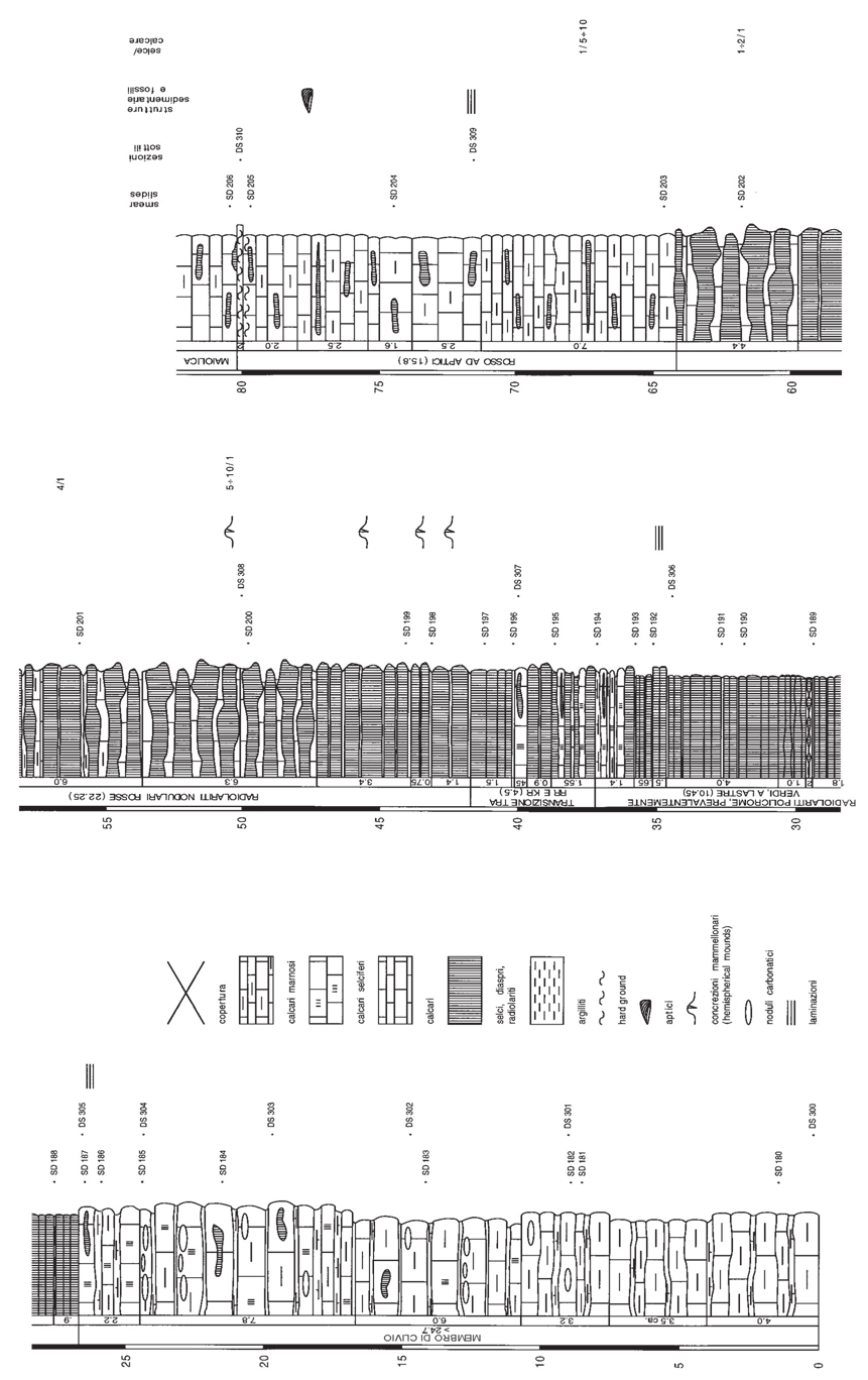 162 APAT - CNR - COMMISSIONE ITALIANA DI STRATIGRAFIA Allegato B