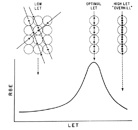 A basse dosi, dunque, considerando radiazione a basso LET, la forma della curva di sopravvivenza indica che sono necessari eventi multipli per provocare la morte cellulare: la radiazione a basso LET