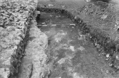 267 Sulla scorta di questo ritrovamento i ricercatori avevano concluso che le originarie mura orientali pesantemente lesionate erano state livellate e su questa superficie erano state edificate le