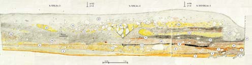 269 Nel saggio di scavo XVIII la malta era spalmata come intonaco su ampie superfici del muro (Fig. 172).