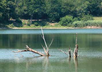 I sedimenti più fini si ritrovano sul fondo del lago e hanno una stratificazione orizzontale, mentre verso le sponde, in particolare in corrispondenza degli apparati deltizi, si ritrovano sedimenti