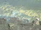 Fioriture algali Lago Maggiore: fioritura algale Negli ultimi anni si è assistito per alcuni laghi alla fioritura di alghe (Cianobatteri) nelle acque.