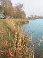 Regione Piemonte: il Piano di Tutela delle acque (PTA), approvato il 13 marzo 2007 con DGR n 117-10731, persegue l obiettivo di protezione e valorizzazione del sistema idrico piemontese nell ambito