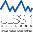 Dipartimento di Prevenzione SERVIZIO SPISAL Via S. Andrea, 8 32100 Belluno Tel. 0437 516927 Fax 0437 516923 e-mail: serv.spisal.bl@ulss.belluno.