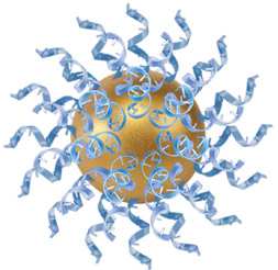 Nanoparticelle metalliche possono formare il core del nanomateriale, che viene funzionalizzato in superficie mediante il legame di