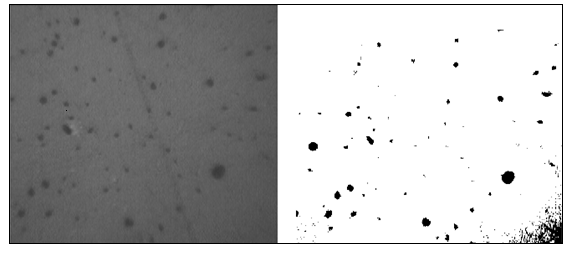 Sintercristallizzazione e tempra chimica di vetroceramiche a base di nefelina 59 di 40 C si ha un incremento, che si attesta di solo un punto percentuale, rispetto alla densità ottenuta con il