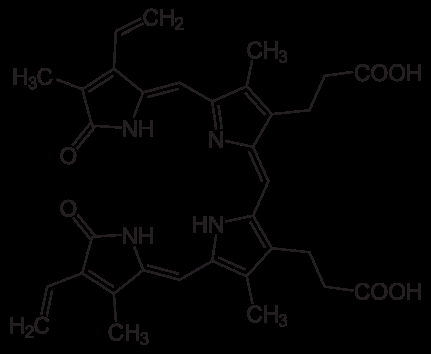bilirubina biliverdina VIA INVERSA ALLA CATABOLIZZAZIONE DELLE PURINE in particolare l'acido urico può essere ritrasformata a xantina assorbendo una molecola di perossido di idrogeno, la xantina a