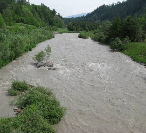 Leno di Vallarsa Torrente Avisio, Val di Fiemme a)