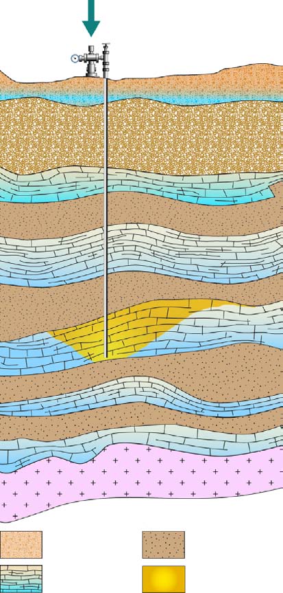 Cosa accade alla CO 2 una volta che si trova nel sito di stoccaggio?