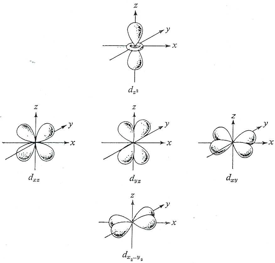 91 Capitolo 6. L atomo di idrogeno Figura 6.8: Le superfici Θ Φ per gli elettroni 3d.[58] e si può quindi scrivere come d yz.