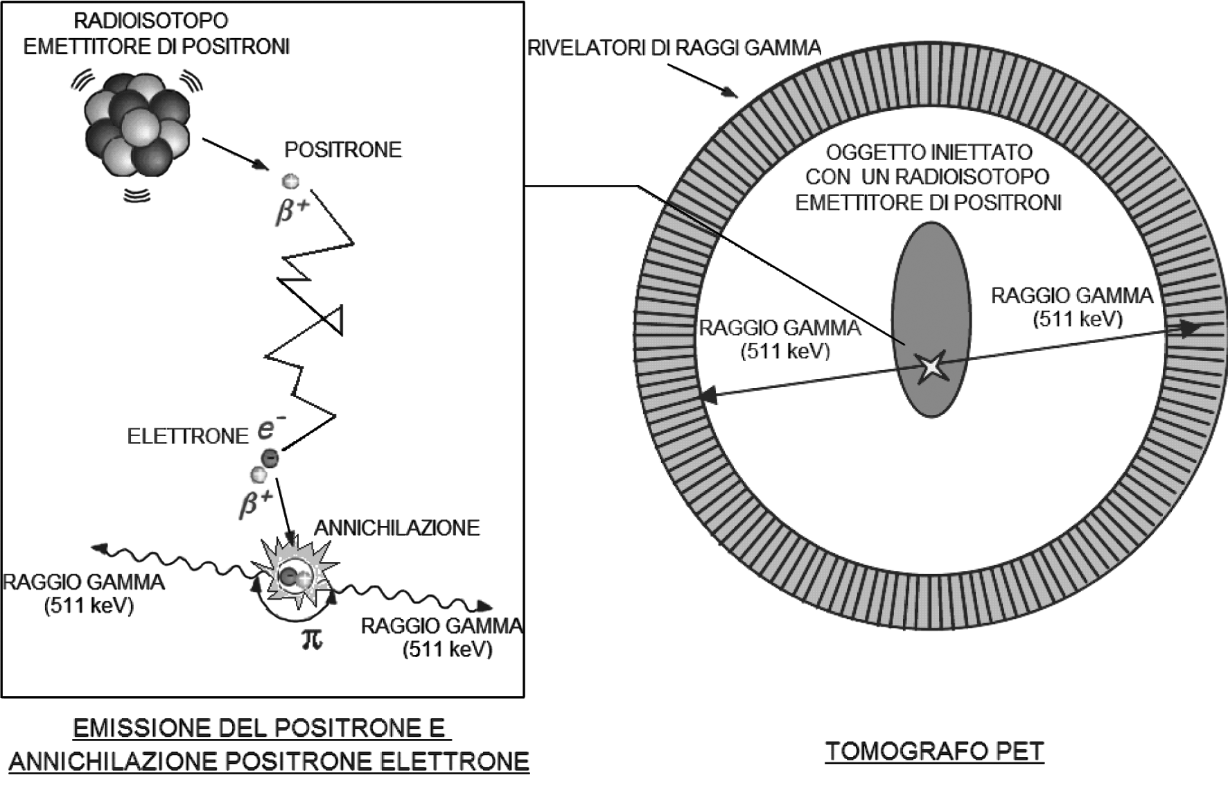 IL NUOVO SAGGIATORE Tabella I. Ð Confronto tra le varie modalitaá di imaging molecolare.