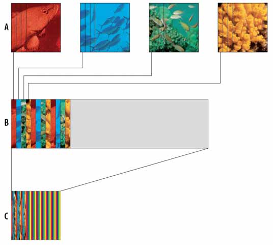 Applicazioni Stampa di immagini lenticolari Grafico 3 Con un cambio di immagine composto da quattro motivi (riga A; qui come nel Grafico 2 rappresentati in rosso, blu, verde e giallo per una migliore