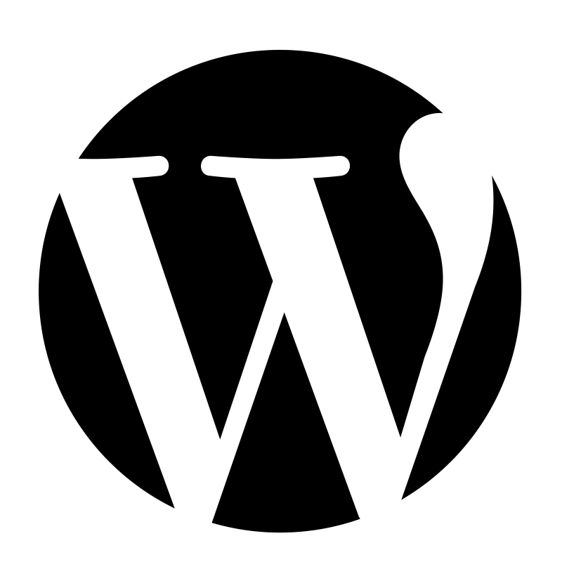 Wordpress corre in aiuto dei più inesperti con il plug in Wordpress SEO (by