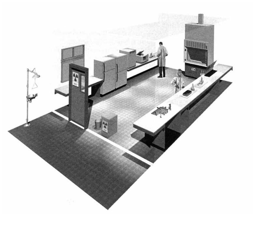 RISCHIO BIOLOGICO REQUISITI DI BIOSICUREZZA BL1 BL2 Caratteristiche di progettazione degli spazi Muri, soffitti e pavimenti devono essere lisci, facili da pulire, impermeabili ai liquidi e resistenti