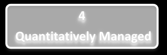 - Performance: misura dei risultati effettivi ottenuti nell'applicazione del processo (Valutazione a consuntivo o indice dei risultati raggiunti); - Maturity: misura dell'efficacia del processo e