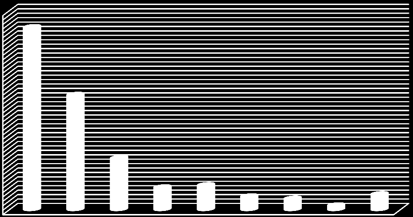 14.000.000,00 12.000.000,00 10.000.000,00 8.000.000,00 6.000.000,00 4.000.000,00 2.000.000,00 0,00 COSTO DELLA C.G.