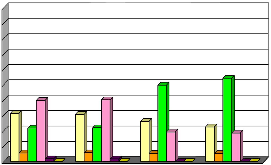 100,00% 90,00% 80,00% 70,00% 60,00% 50,00% 40,00% 30,00% 20,00% 10,00% 0,00% SCHIO SOSTENIBILE, DI QUALITA', A 5 STELLE E VIVA Funzione 01 - Funzioni generali di amministrazione Funzione 06 -